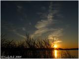 IMG_0844a.jpg