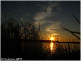 IMG_0842a.jpg