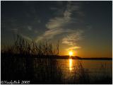 IMG_0841a.jpg