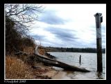 By The Lake December 29