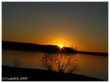 IMG_1198a.jpg
