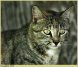 Tuffy May 2 *
