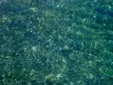 Water in Grand Cayman - See the fish?