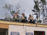 Chicks on Roof with Hammers