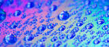 _wtare-drops-MG_0737.jpg