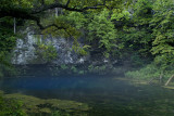 Blue Springs