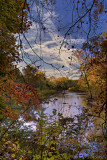 River View