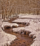 Spring Branch
