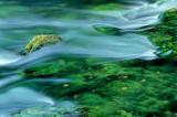 Sliky Rapids
