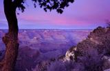 Canyon in alpenglow