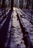 Icy Shadows