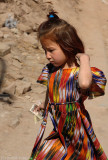 d7011 052.jpg