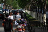d7010 125.jpg
