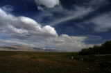 d7012 088.jpg