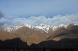 d7013 016.jpg
