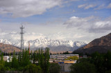 d7013 051.jpg
