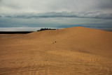 Sand Dunes Frontier Florence Oregon