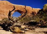 Moab Arch, Utah