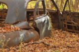 Automne