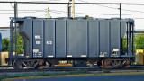 MRL 100423 Sand hopper - Missoula, MT (7/9/10)