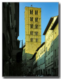 DSCN5571.jpg
