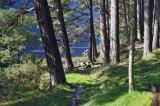 At the shore of the Upper Lake