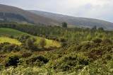 Blackstairs Mountains