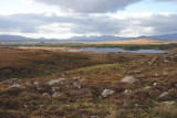 Connemara landscape
