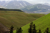 Yellowhead County