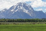 Mount Moran