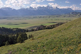 Tetons from the National Elk Refuge