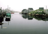 DSC02393.jpg