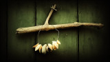 Wired