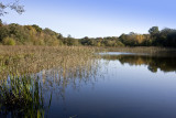 Autumn Lake