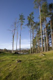 Tarn Hows