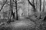 Sheringham Country Park