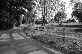 Fence Mono