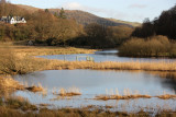 The river Brathay