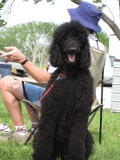 GASP09_0017.jpg
