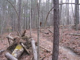 Nice benches all over, tons of work went into the trail.