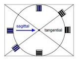 sagittal and tangential.JPG