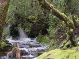Stream at Waldheim