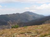 Razorback and Feathertop