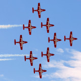 Canadian Forces Snowbirds