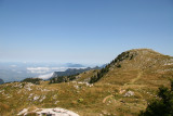 IMG_2303.JPG