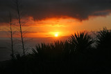 IMG_3743.JPG