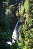 IMG_5485.JPG