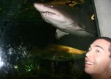 IMG_1383f.jpg