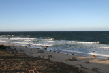 IMG_4874.JPG