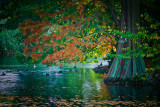 19 October - Autumnal Kew